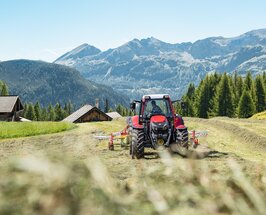Lintrac 130 Schwaden Ladewagen Lintrac 95 LS